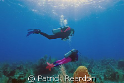 My daughter and wife in the crystal waters of Grand Cayma... by Patrick Reardon 